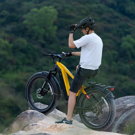 1000w-electric-bike