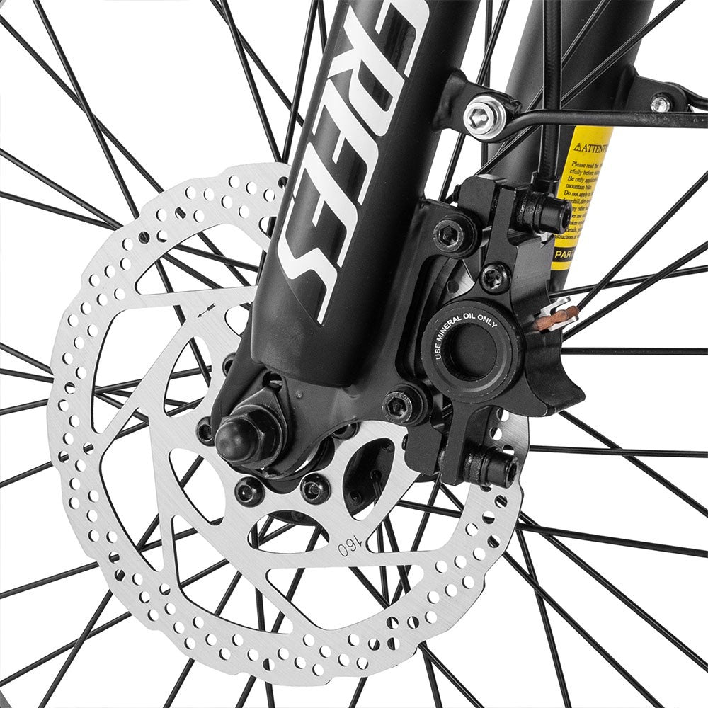 2-Pack Fafrees F20 Master Electric Bike Offer