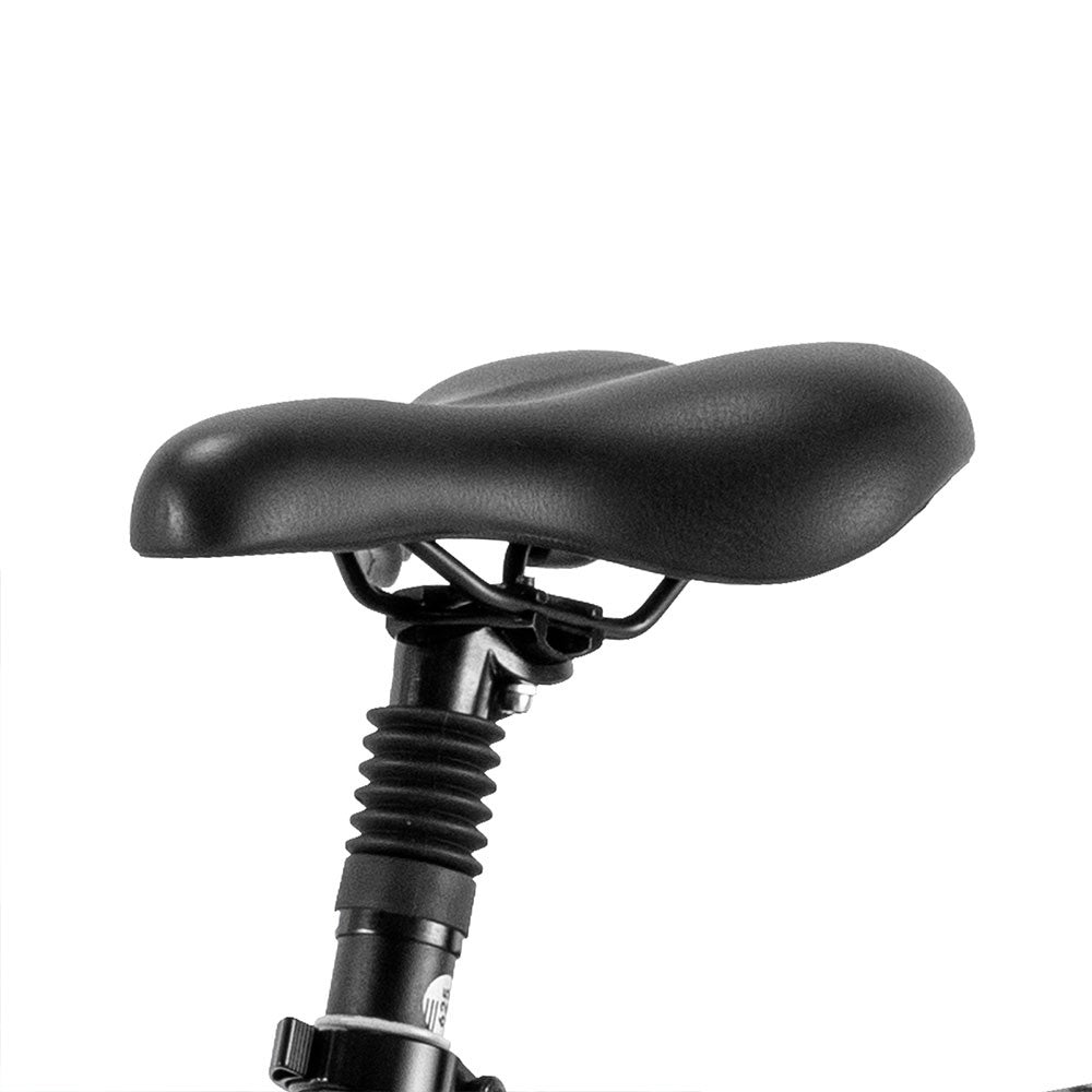 2-Pack Fafrees F20 Master Electric Bike Offer