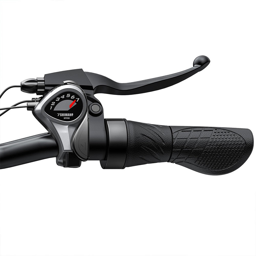 ENGWE E26 Electric Bike 26" Fat Tires 250W Motor 48V 16Ah Battery