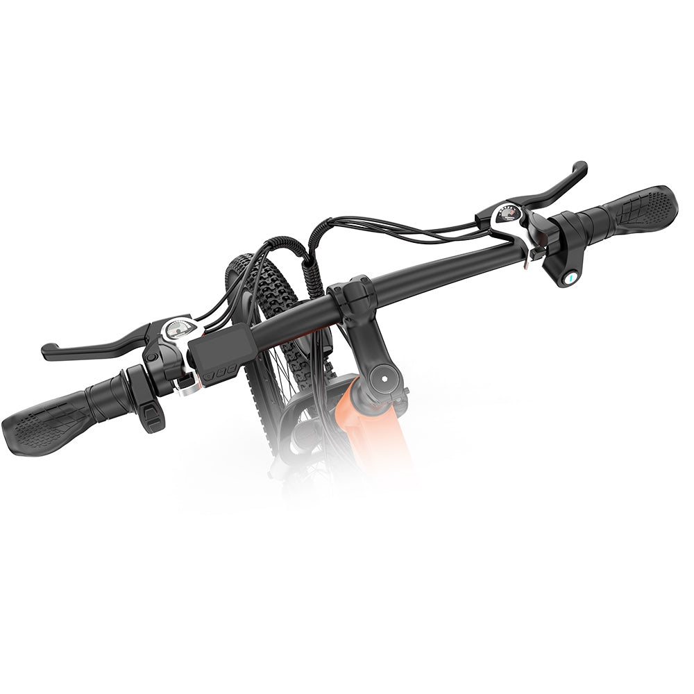 Ridstar S29 Electric Mountain Bike 29" Tires 1000W Motor 48V 15Ah Battery