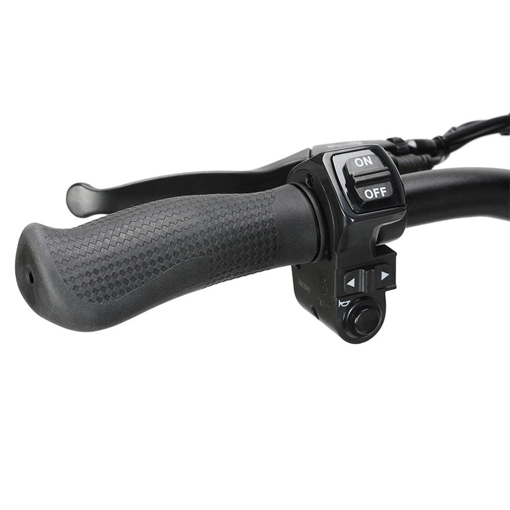 Ausom Leopard Electric Scooter with Seat 10" Tires 1000W 48V 20.8Ah Battery