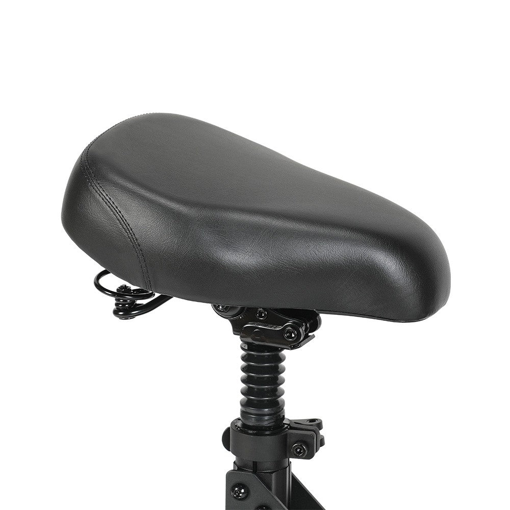 Ausom Leopard Electric Scooter with Seat 10" Tires 1000W 48V 20.8Ah Battery