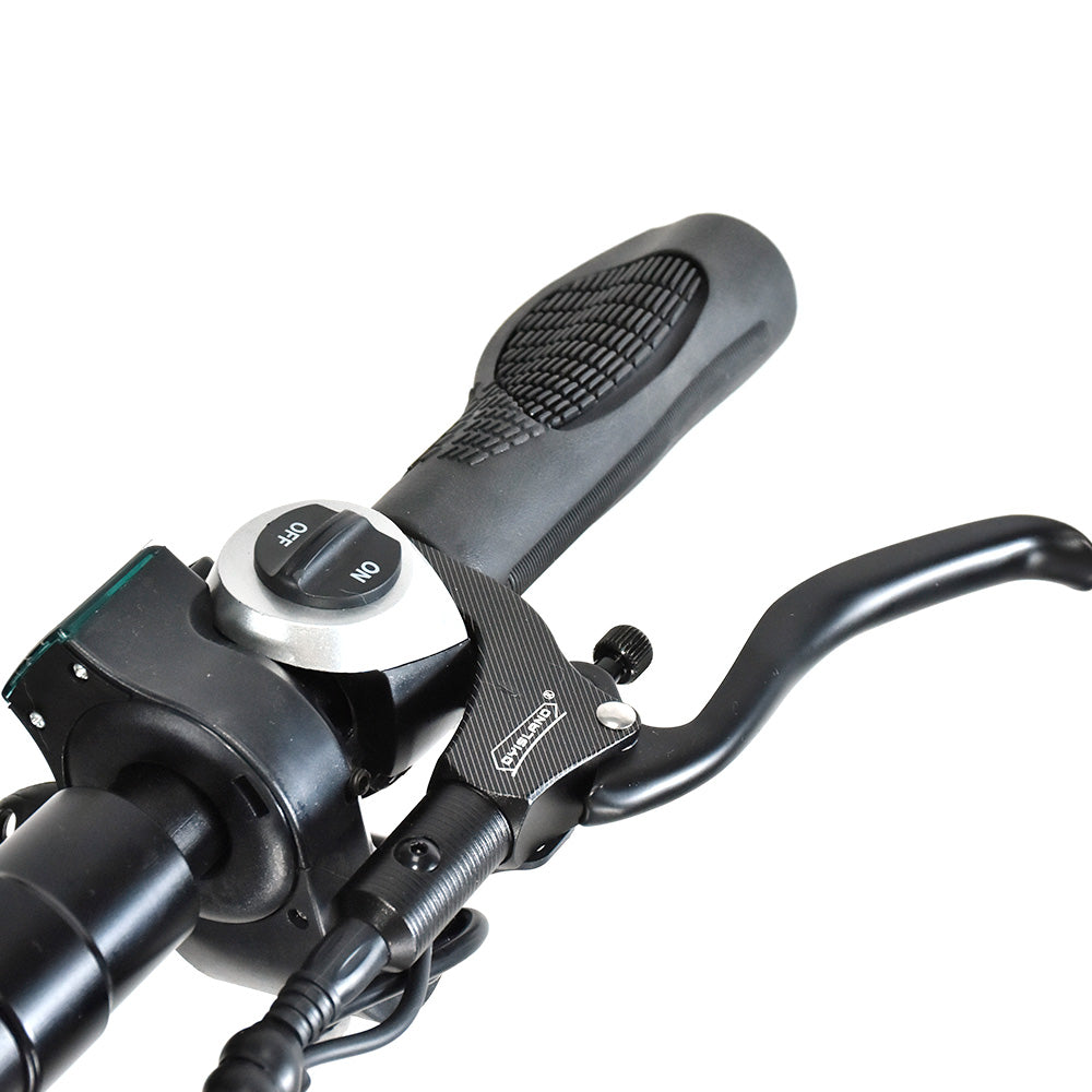 BOYUEDA S3-11 Elektroroller 11" Reifen Dual 3000W Motoren 60V 38Ah Batterie