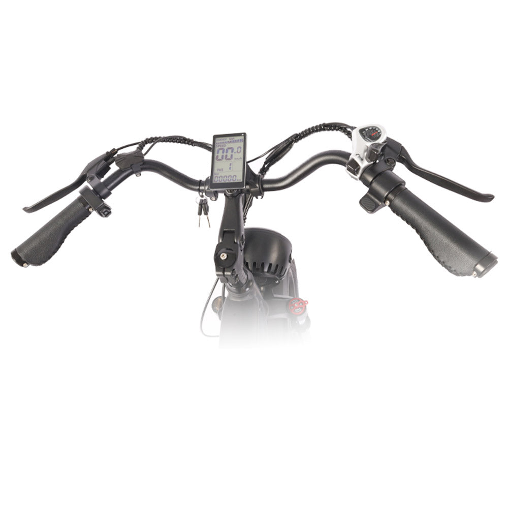 Bezior XF001 Electric Mountain Bike 20" Fat Tires 1000W Motor 48V 12.5Ah Battery