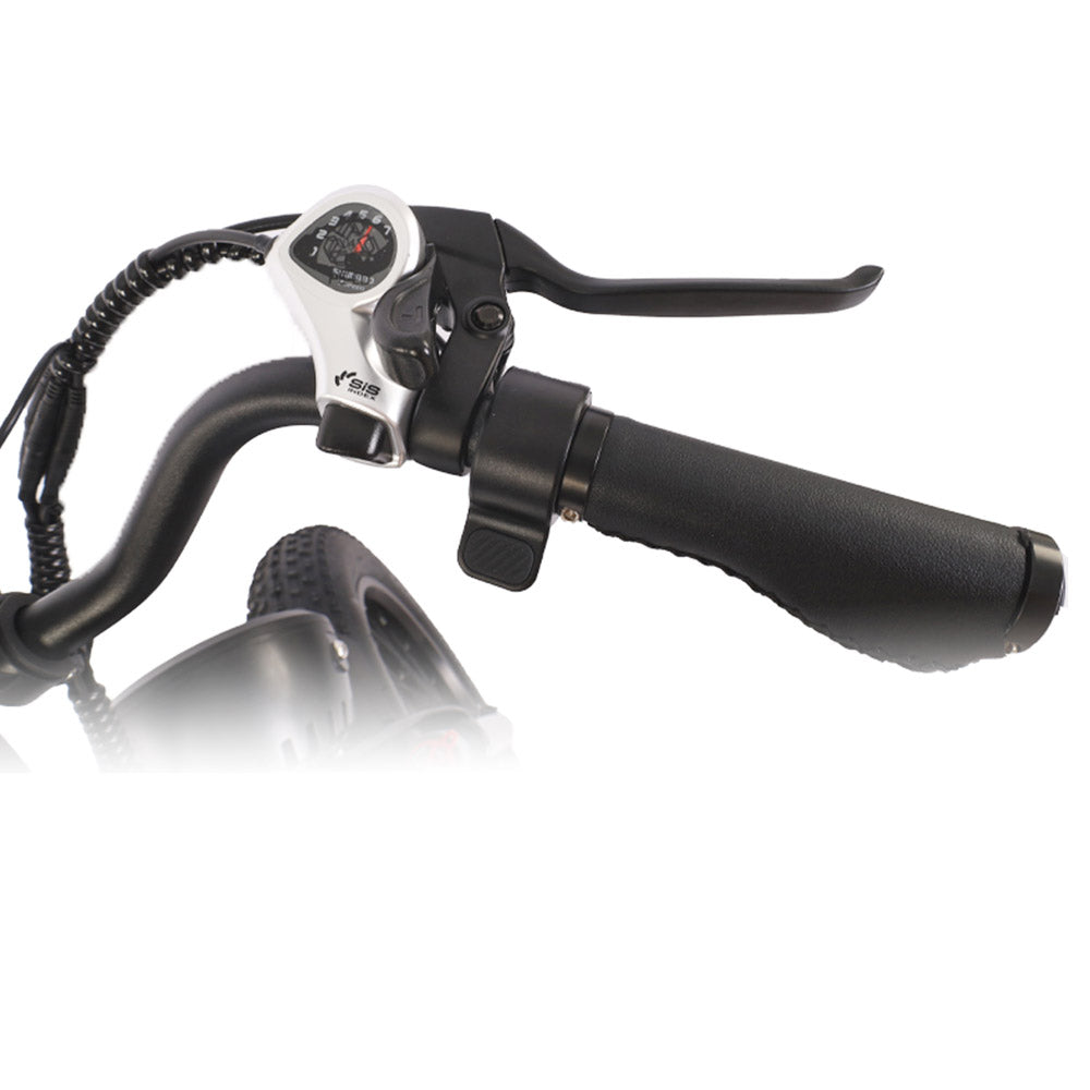 Bezior XF001 Electric Mountain Bike 20" Fat Tires 1000W Motor 48V 12.5Ah Battery