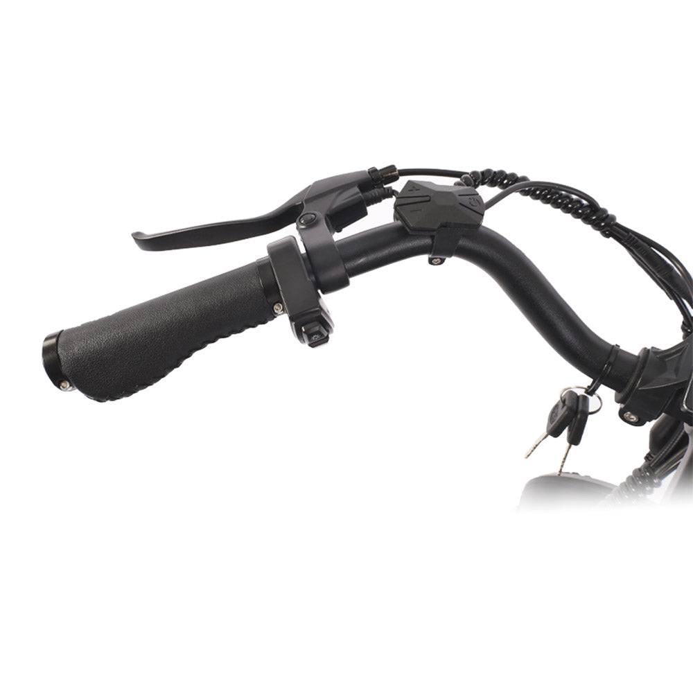 Bezior XF001 Electric Mountain Bike 20" Fat Tires 1000W Motor 48V 12.5Ah Battery