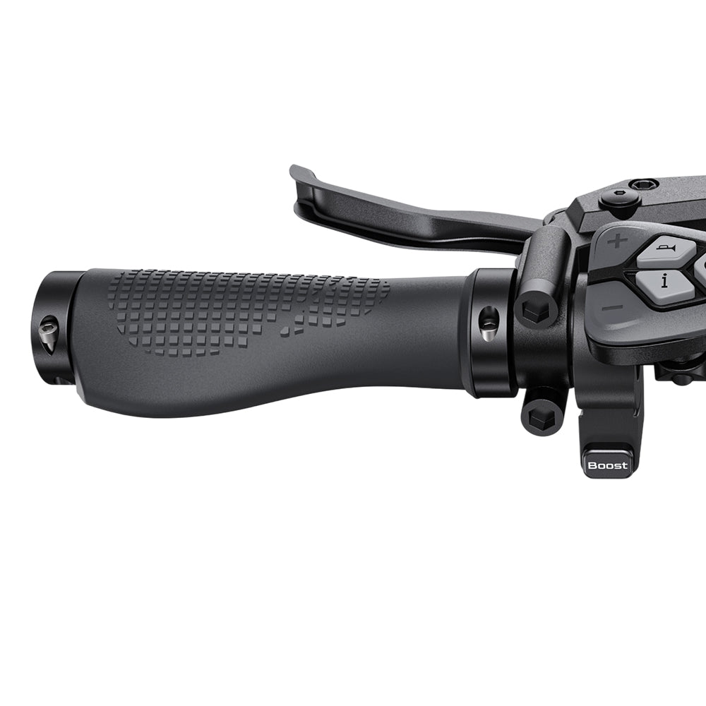 ENGWE L20 3.0 Boost Electric Bike 250W Motor 48V 13.5Ah Battery