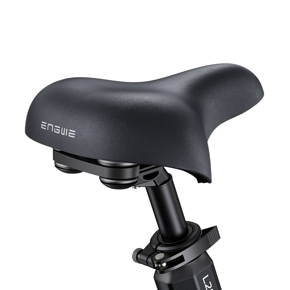 ENGWE L20 3.0 Boost Electric Bike 250W Motor 48V 13.5Ah Battery