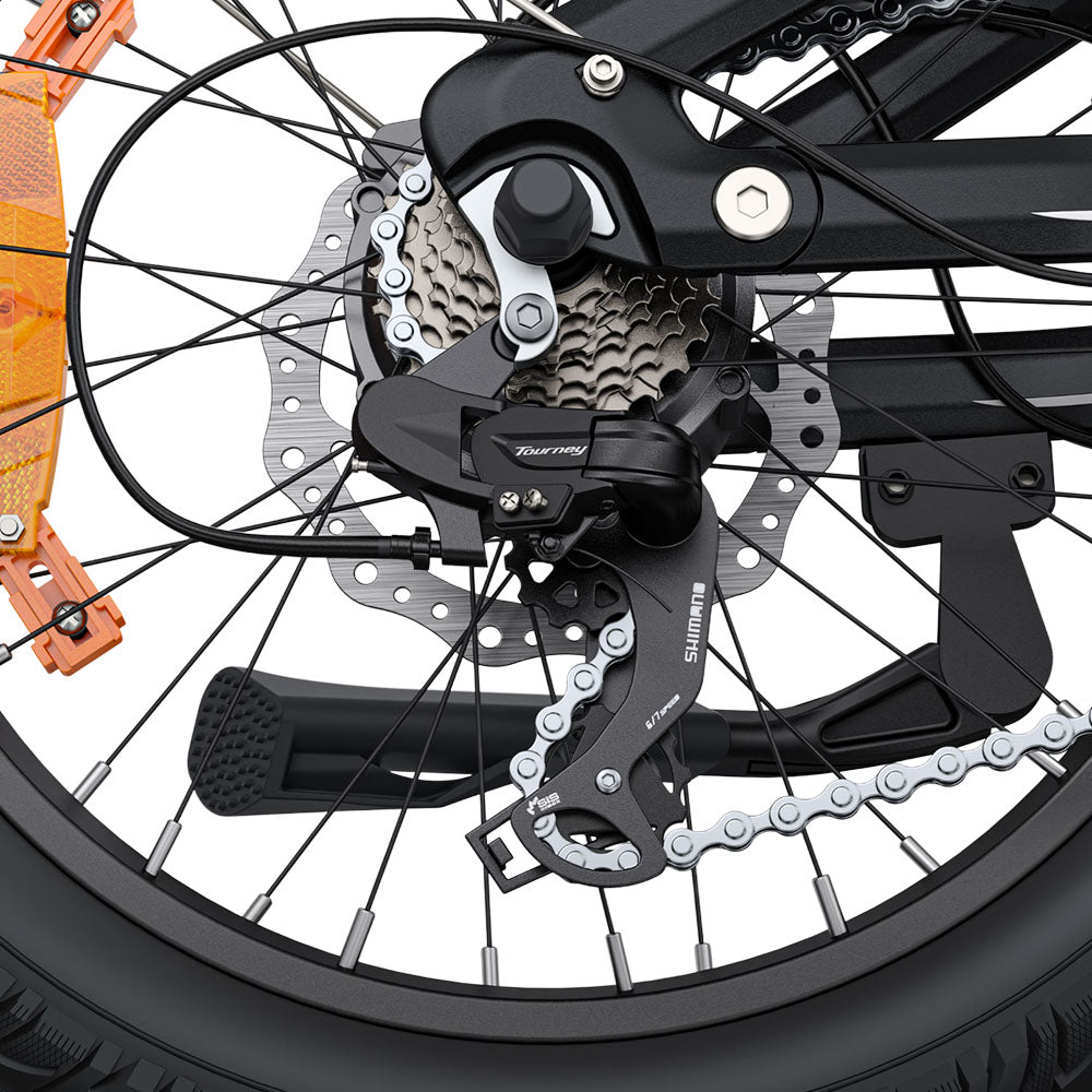 ENGWE L20 3.0 Boost Electric Bike 250W Motor 48V 13.5Ah Battery