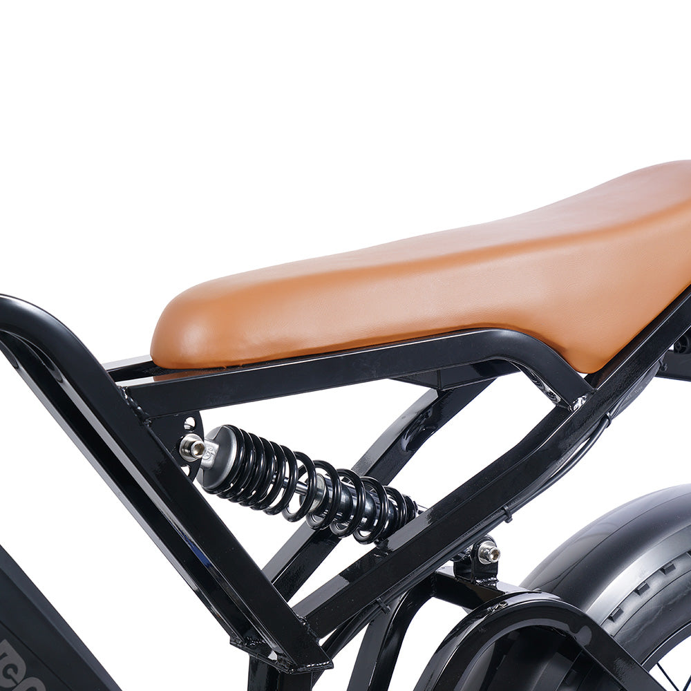 Bicicleta eléctrica EUENI FXH009 Pro de 20", neumáticos anchos, motor de 750 W, batería de 48 V y 15 Ah