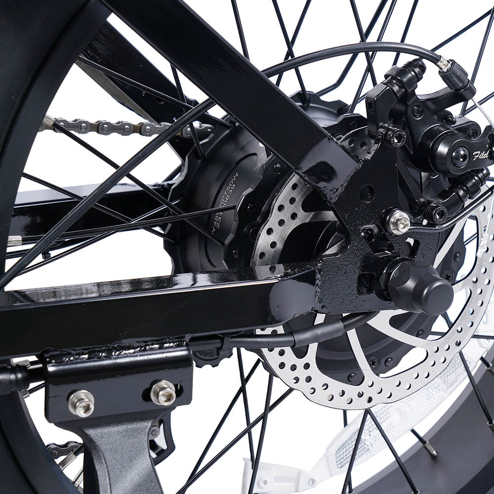 Bicicleta eléctrica EUENI FXH009 Pro de 20", neumáticos anchos, motor de 750 W, batería de 48 V y 15 Ah