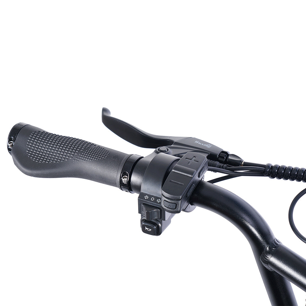 Bicicleta eléctrica EUENI FXH009 Pro de 20", neumáticos anchos, motor de 750 W, batería de 48 V y 15 Ah