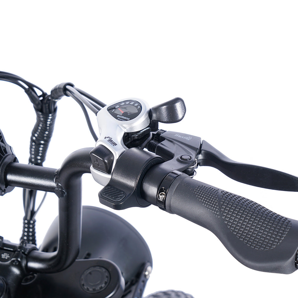 Bicicleta eléctrica EUENI FXH009 Pro de 20", neumáticos anchos, motor de 750 W, batería de 48 V y 15 Ah