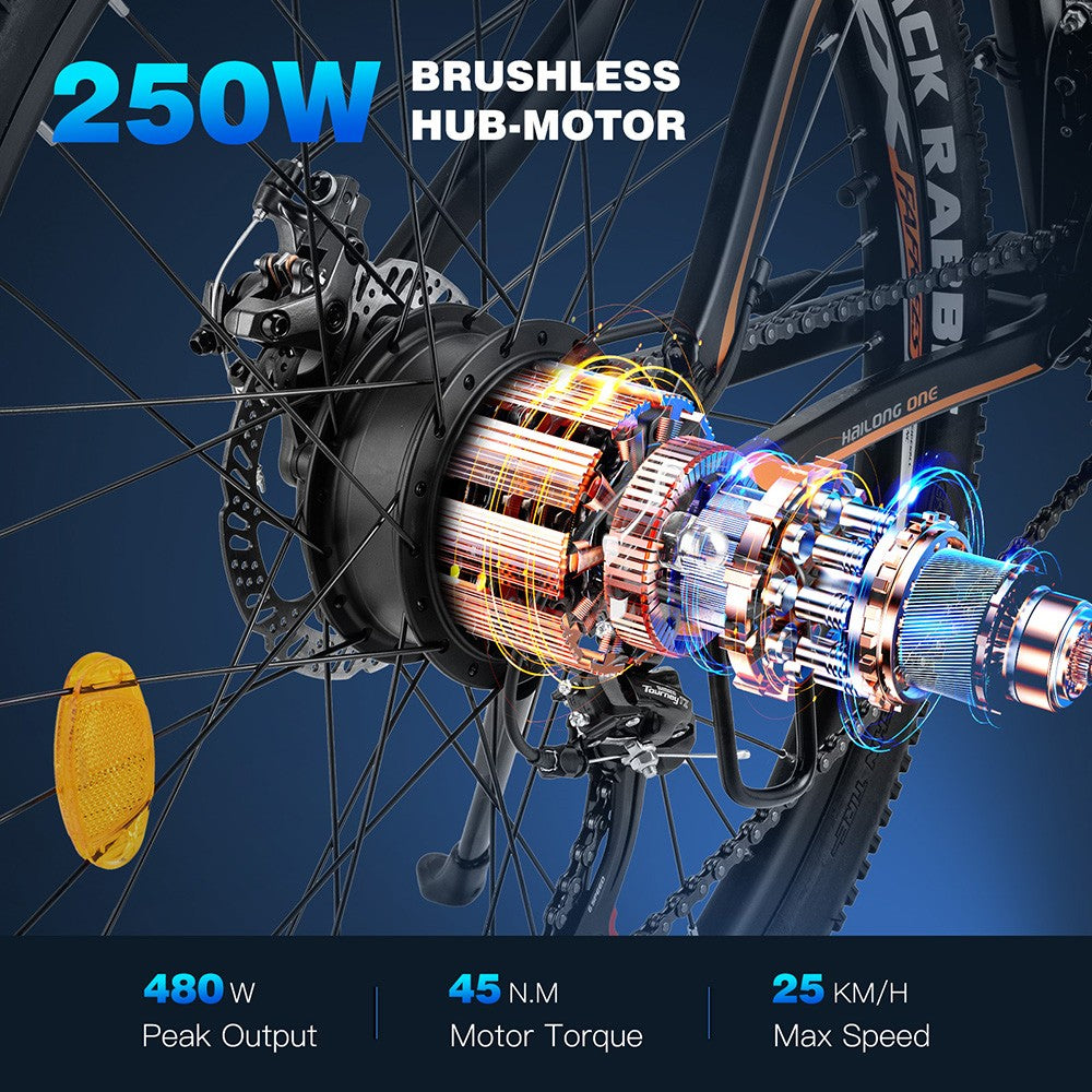 Bicicleta eléctrica Fafrees Hailong One, neumáticos de 26", motor de 250 W, batería de 36 V y 13 Ah