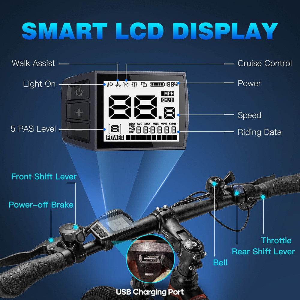 Bicicleta eléctrica Fafrees Hailong One, neumáticos de 26", motor de 250 W, batería de 36 V y 13 Ah