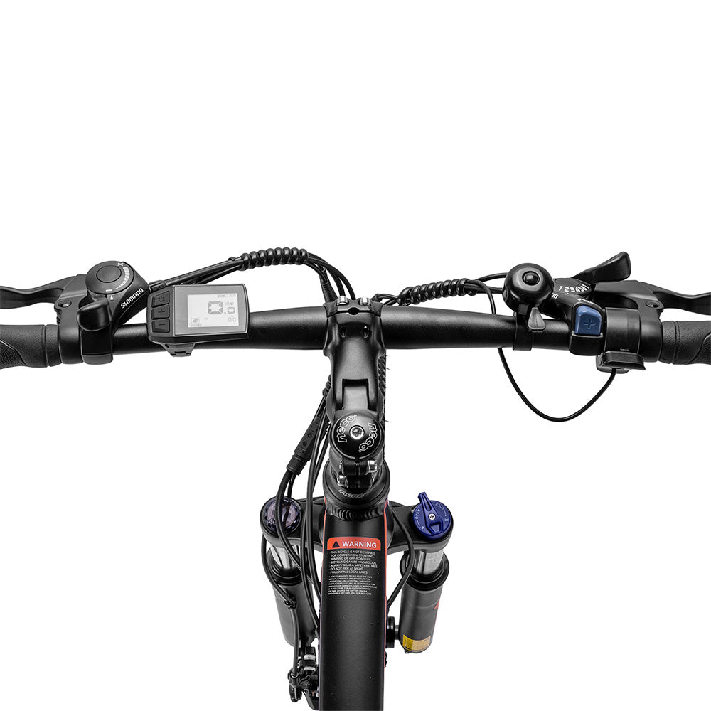 Bicicleta eléctrica Fafrees Hailong One, neumáticos de 26", motor de 250 W, batería de 36 V y 13 Ah