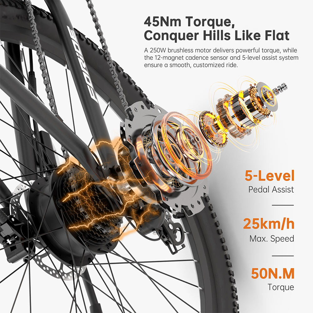 Foride Xtremer 2 Electric Bike 250W Motor 36V 15.6Ah Battery