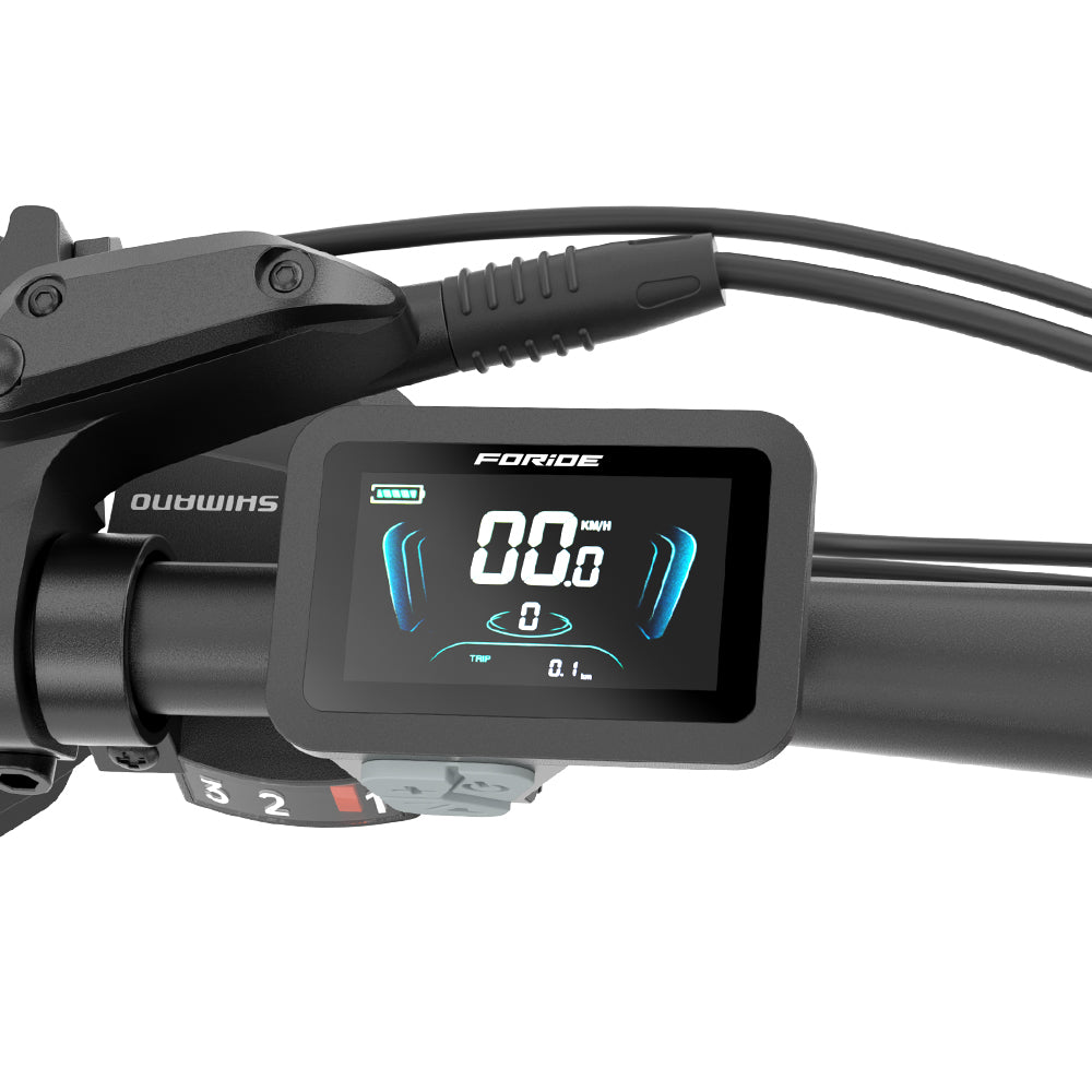 Foride Xtremer 2 Electric Bike 250W Motor 36V 15.6Ah Battery