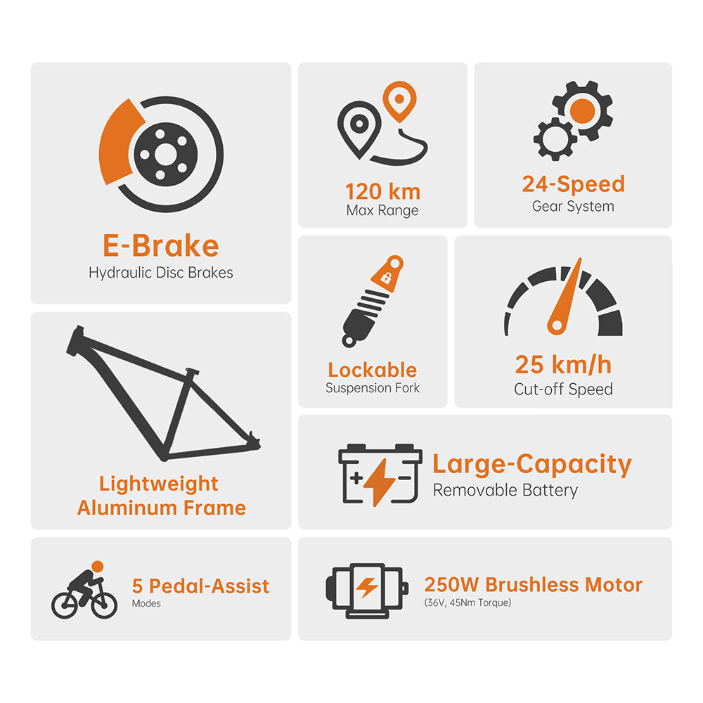 Foride Xtremer 2 Electric Bike 250W Motor 36V 15.6Ah Battery