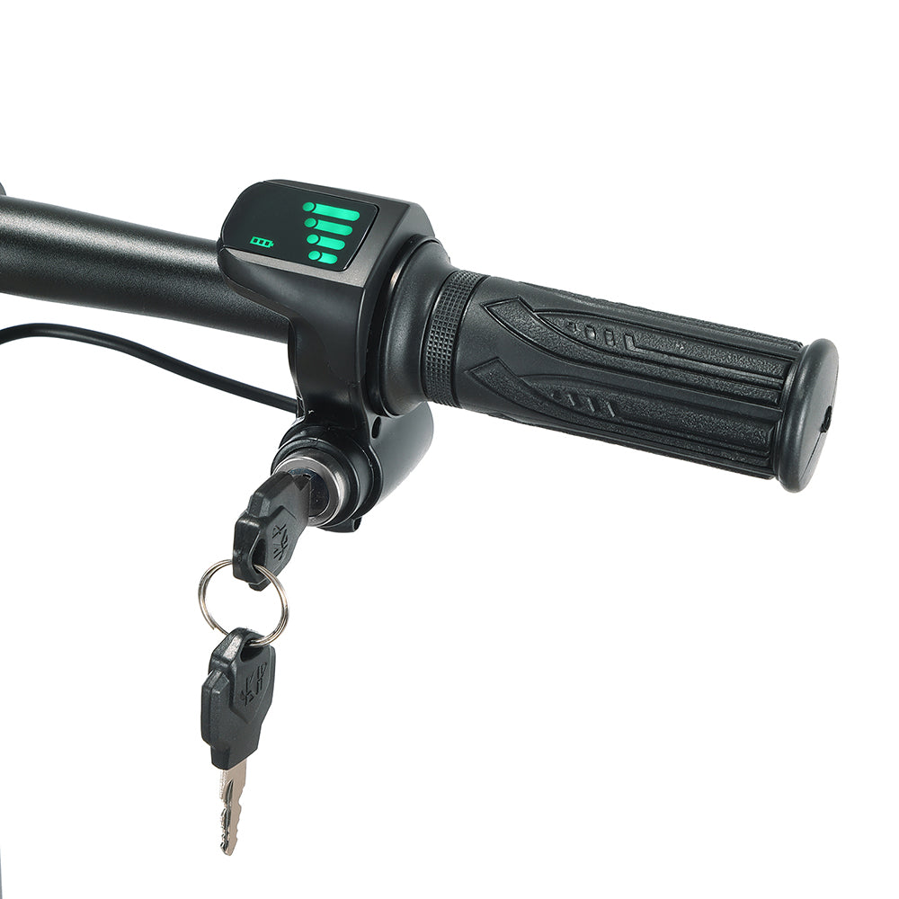 Freejoyer F7 Plus Vierrad-Elektroroller 300W Motor 36V 21Ah Batterie