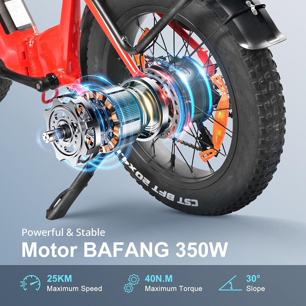 Kaisda K20F Electric Bike 20" Tires 250W 36V 25Ah Battery