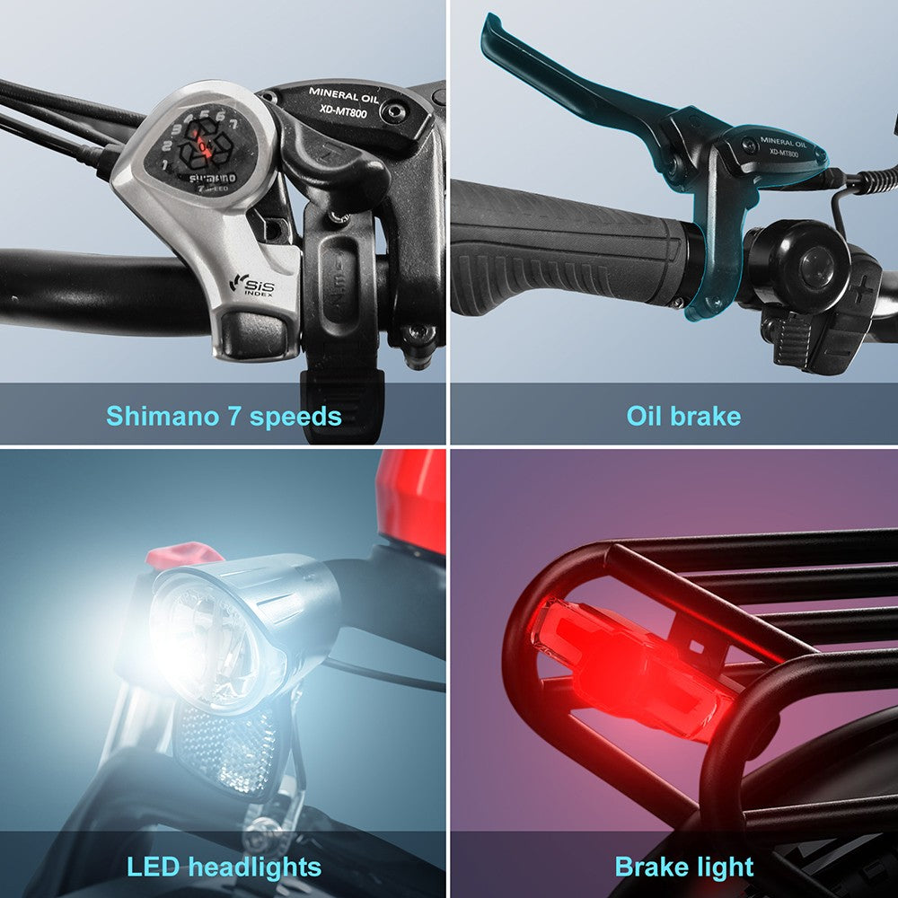 Kaisda K20F Electric Bike 20" Tires 250W 36V 25Ah Battery