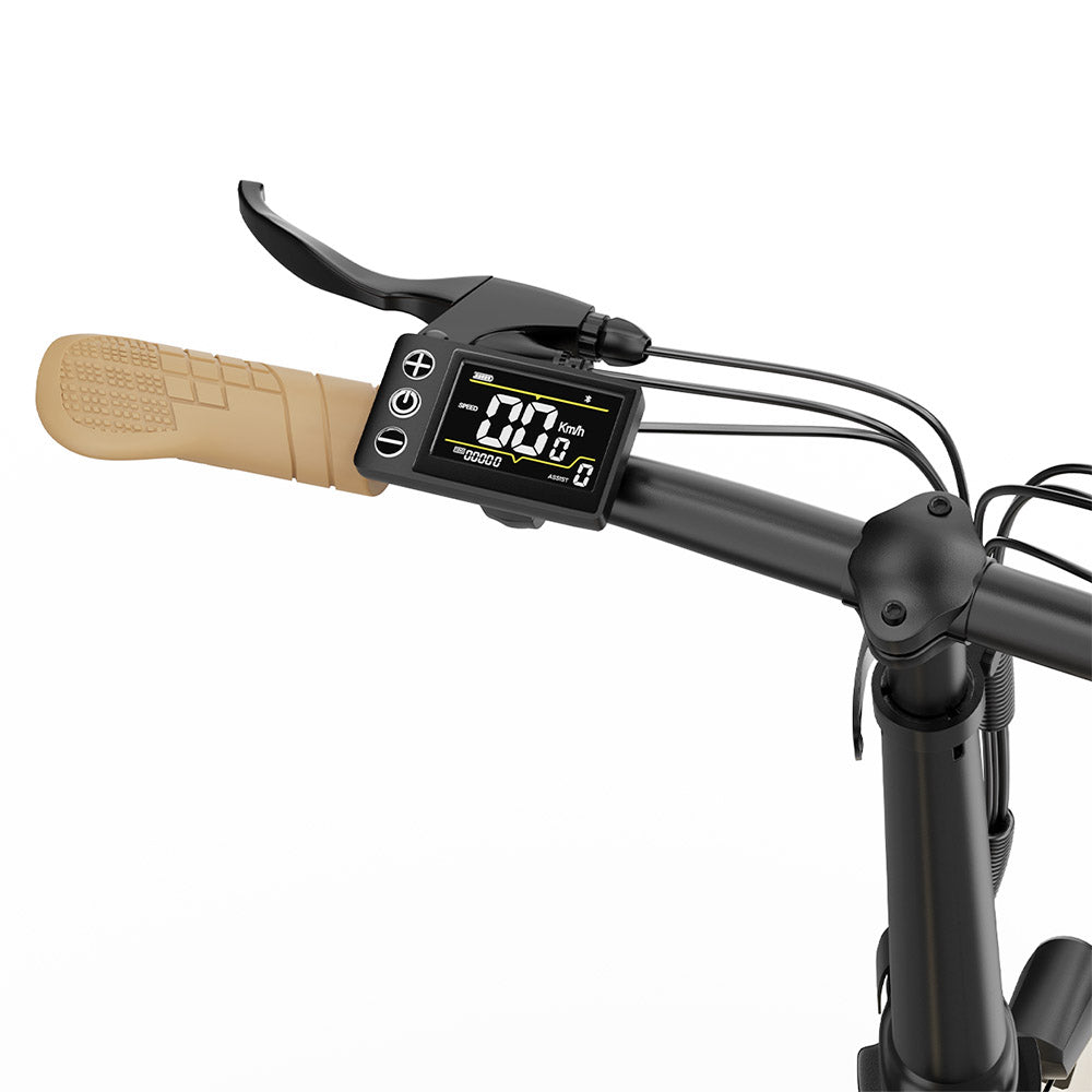 ONESPORT OT16-2 Electric Bike 20" Tires 250W Motor 48V 17Ah Battery