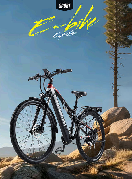 RANDRIDE_YG90B-29_Electric_Mountain_Bike_6