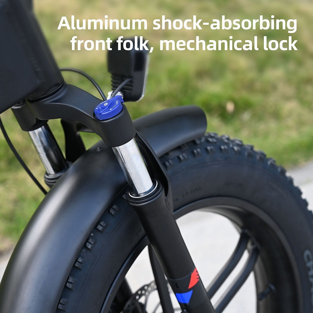 ENGWE ENGINE X Electric Bike 20" Chaoyang Tires 250W 48V 13Ah Battery