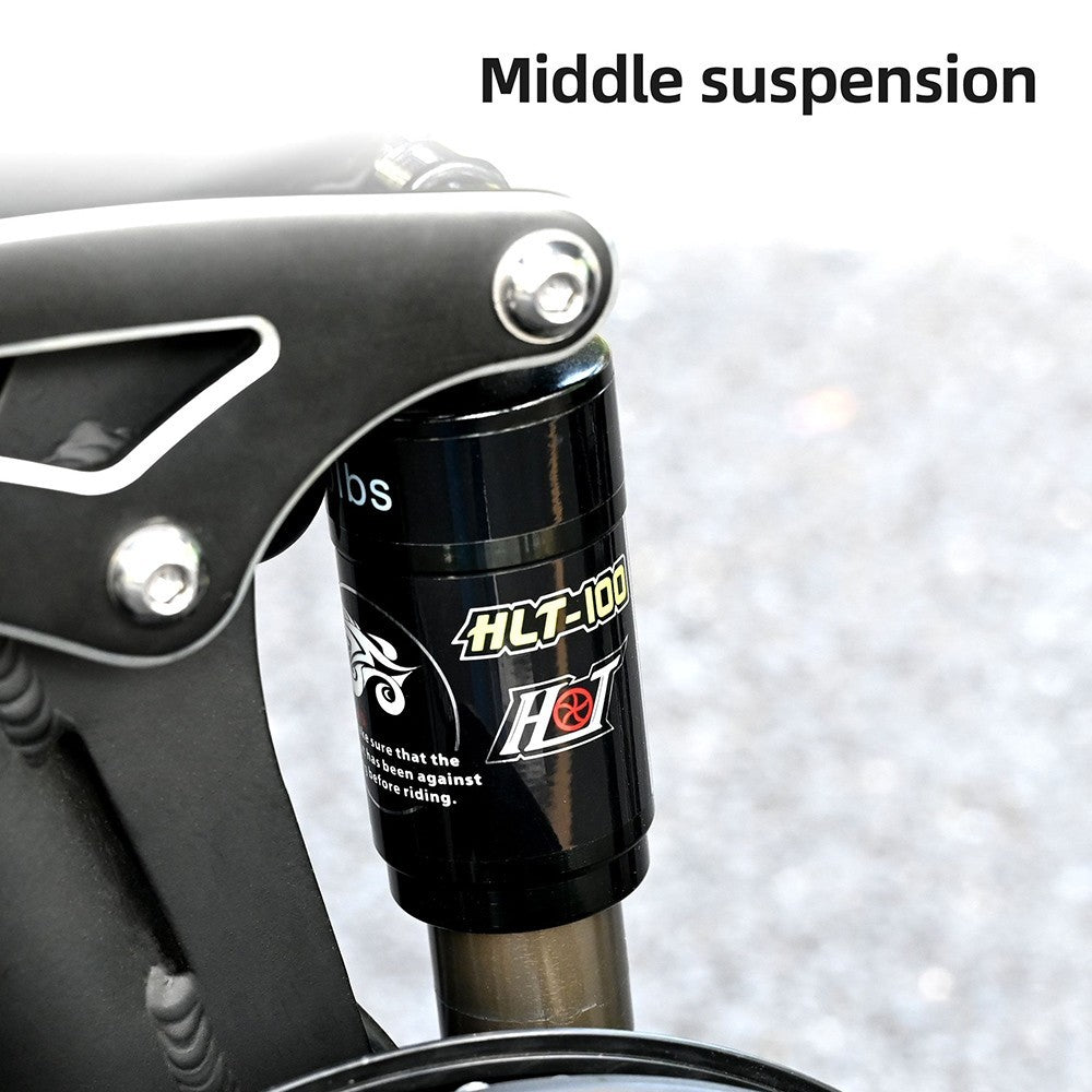 ENGWE ENGINE X Electric Bike 20" Chaoyang Tires 250W 48V 13Ah Battery