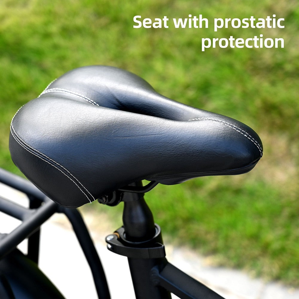 ENGWE ENGINE X Electric Bike 20" Chaoyang Tires 250W 48V 13Ah Battery