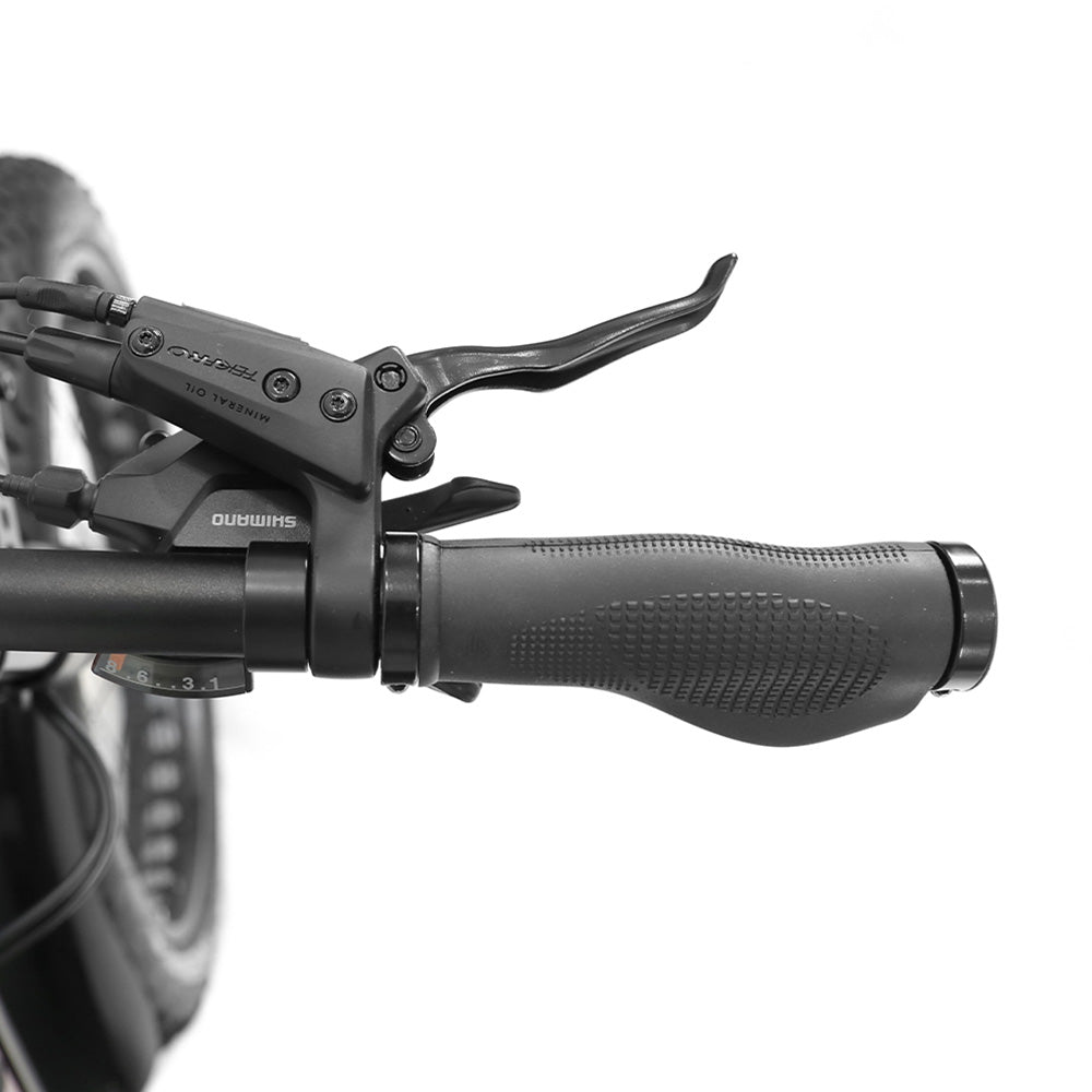 Duotts E26 Elektrofahrrad 26" Reifen 750W Motoren 48V 20Ah Batterie