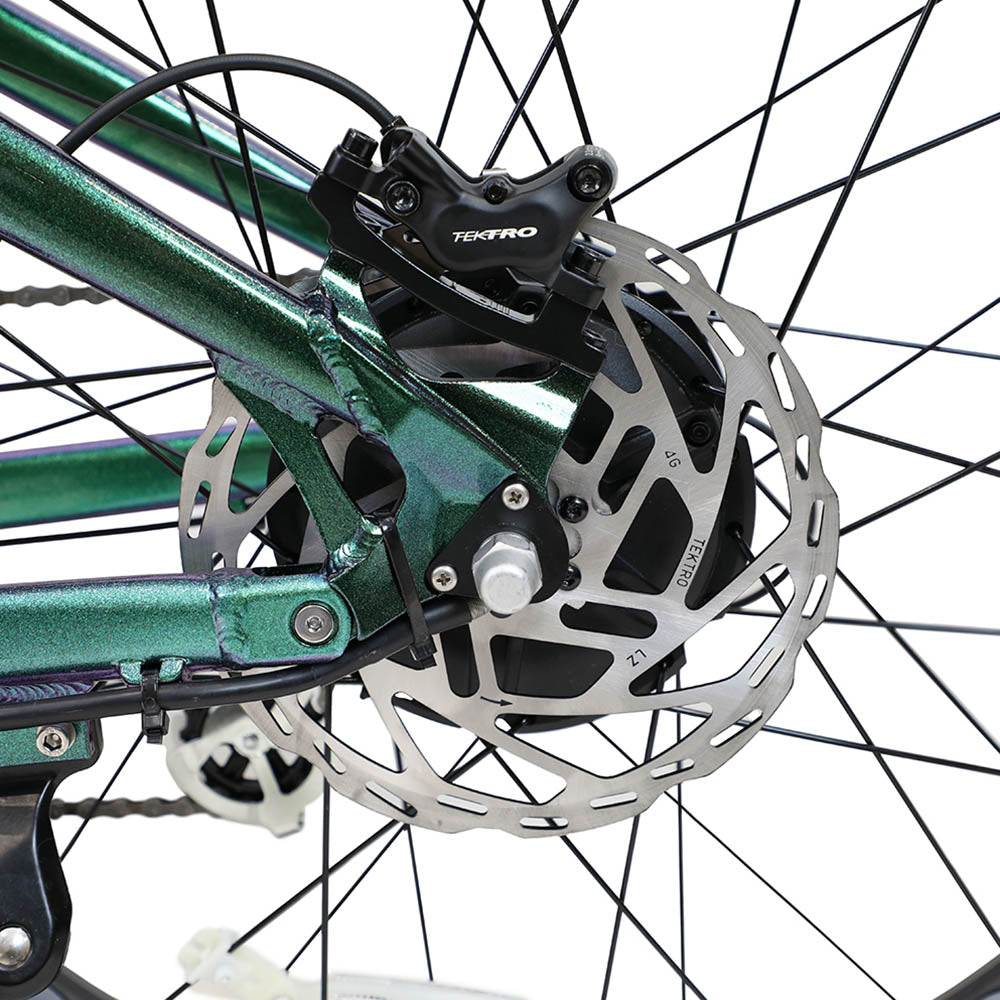 Duotts E26 Elektrofahrrad 26" Reifen 750W Motoren 48V 20Ah Batterie