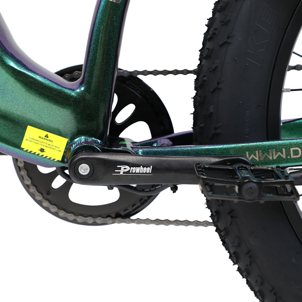 Duotts E26 Elektrofahrrad 26" Reifen 750W Motoren 48V 20Ah Batterie