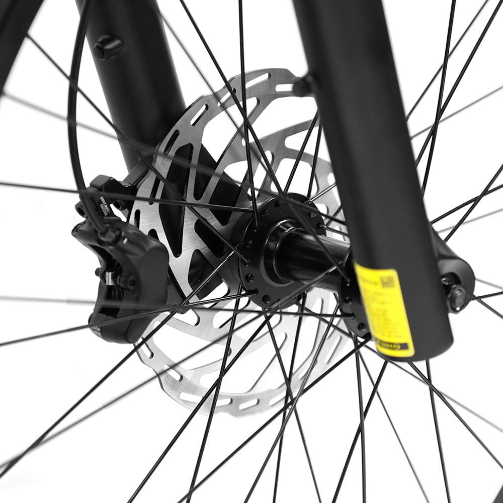 Duotts E26 Elektrofahrrad 26" Reifen 750W Motoren 48V 20Ah Batterie