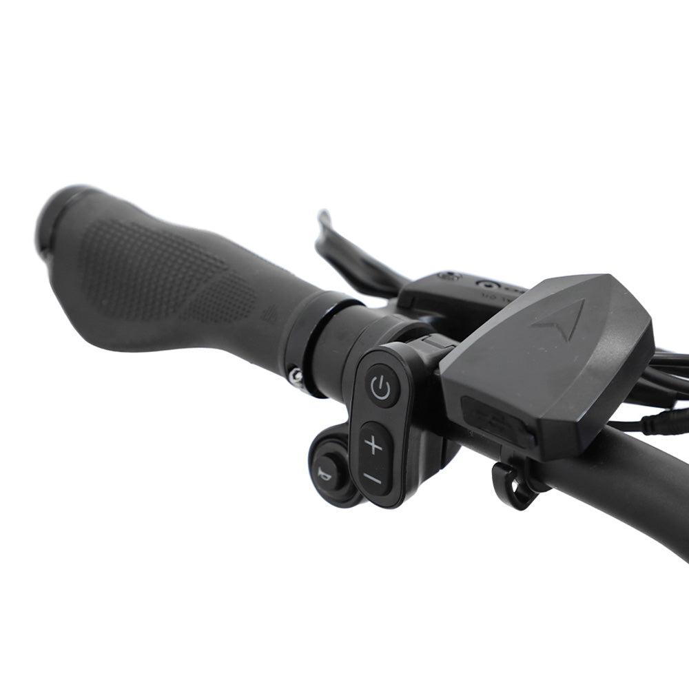 Duotts E26 Elektrofahrrad 26" Reifen 750W Motoren 48V 20Ah Batterie