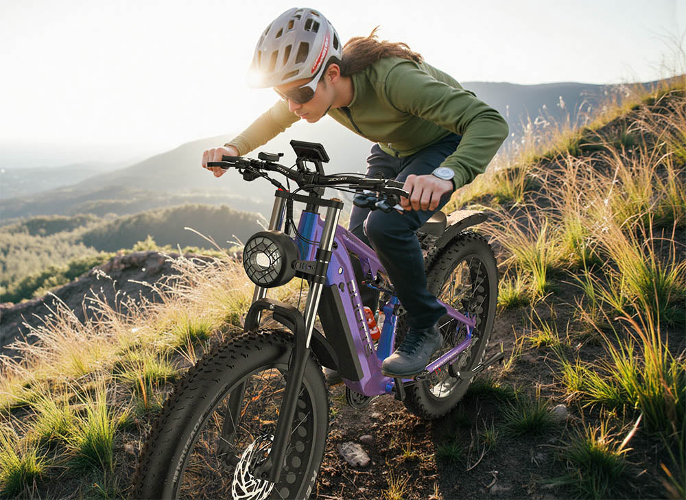 Duotts E26 Elektrofahrrad 26" Reifen 750W Motoren 48V 20Ah Batterie