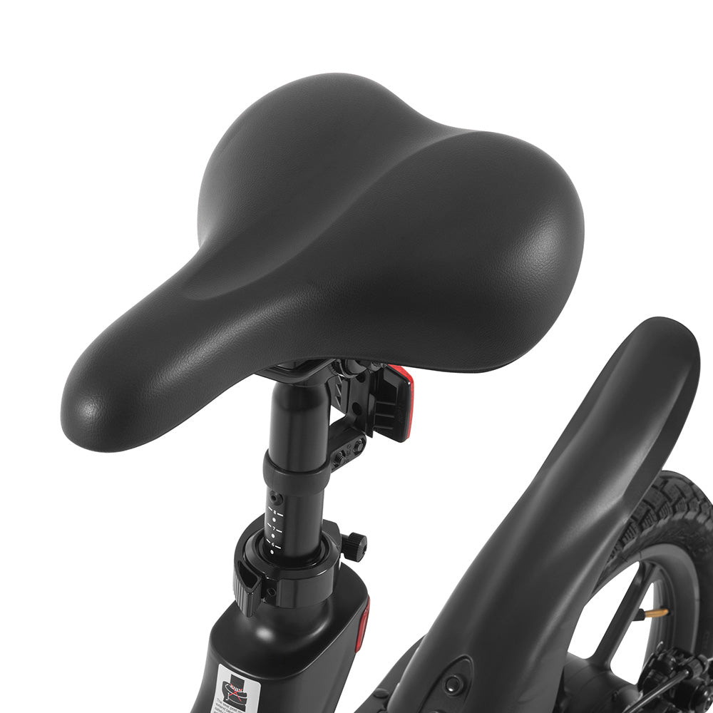 DYU A16 Electric Bike 16" Tires 250W Motor 36V 10Ah Battery