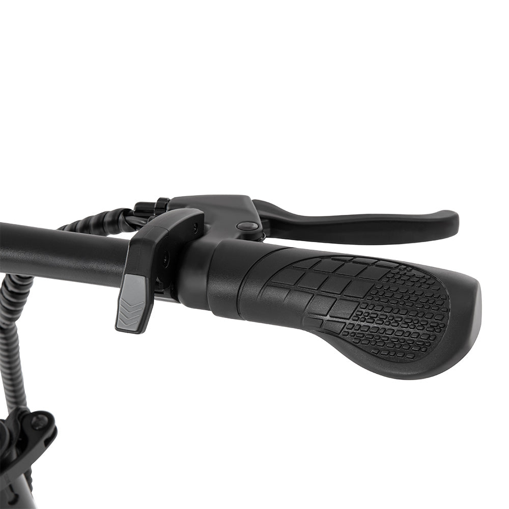 DYU A1F Pro Elektrisches Citybike 16" Reifen 250W Motor 36V 7,5Ah Akku