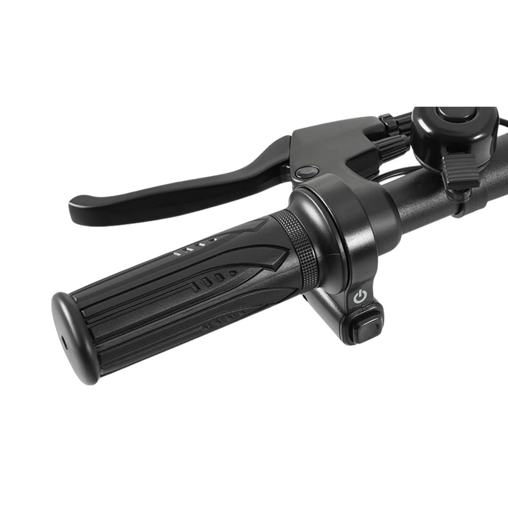 DYU C4 Elektroroller mit Sitz 14" Reifen 250W Motor 36V 10Ah Batterie