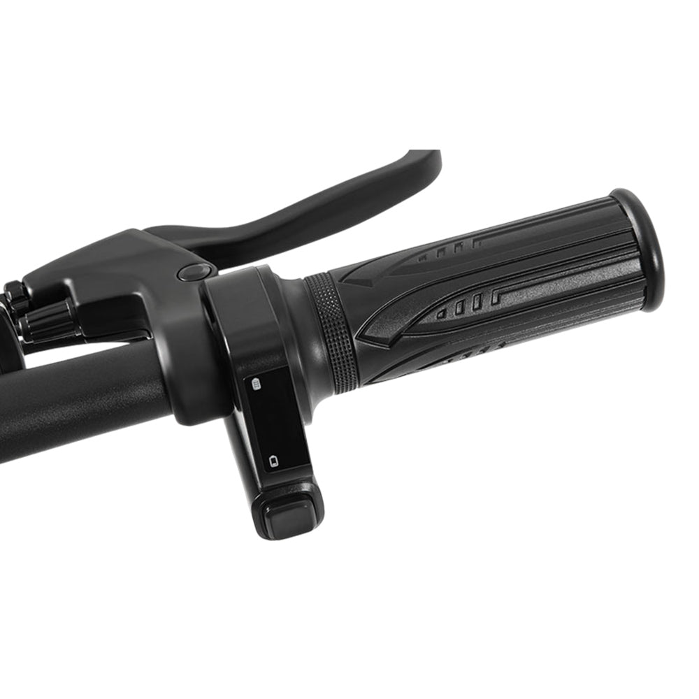 DYU C4 Elektroroller mit Sitz 14" Reifen 250W Motor 36V 10Ah Batterie