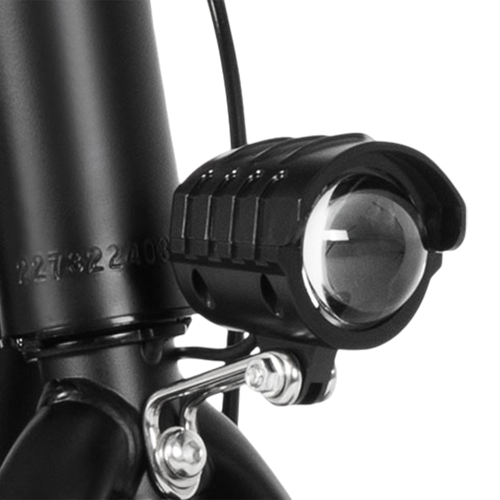 DYU C4 Elektroroller mit Sitz 14" Reifen 250W Motor 36V 10Ah Batterie