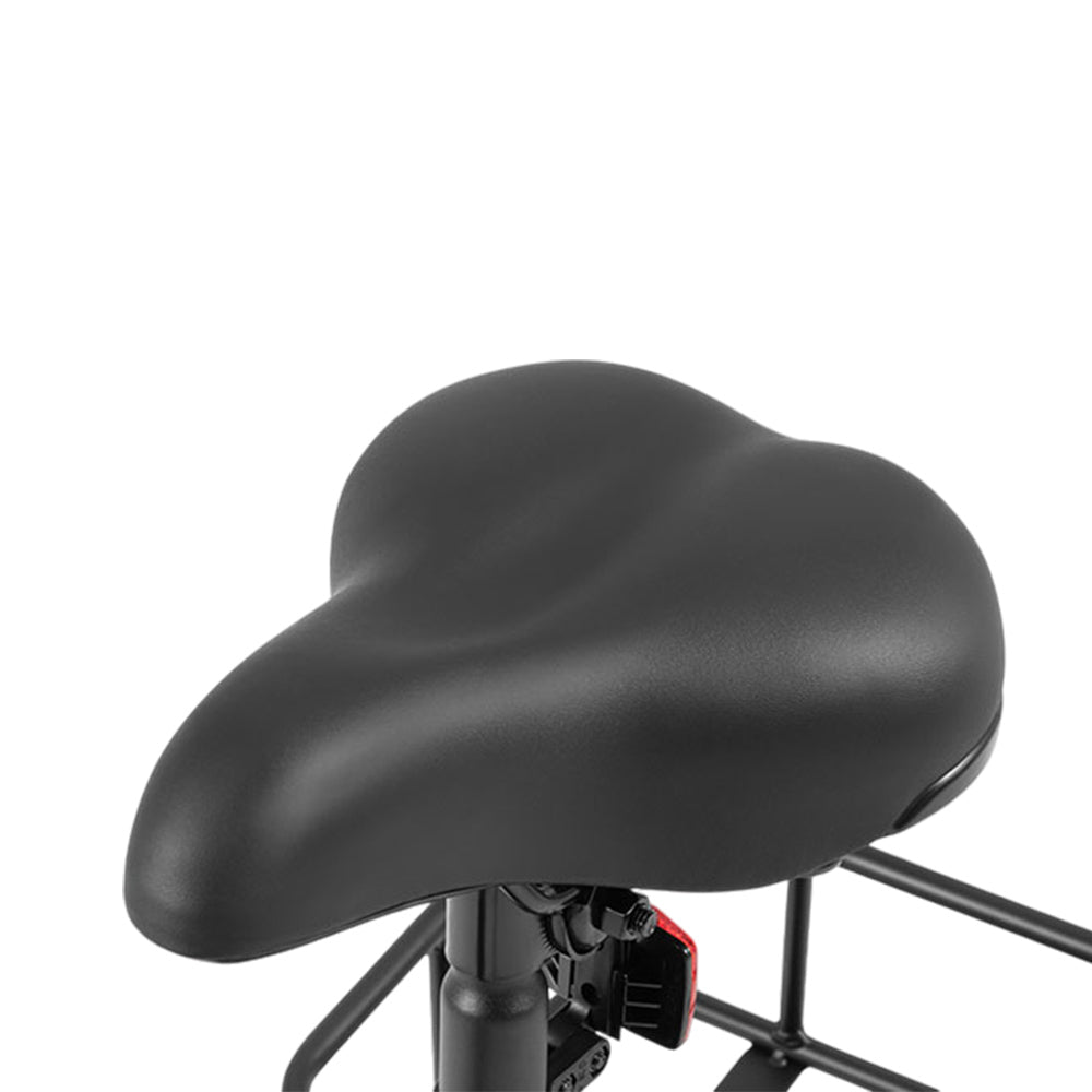 DYU C4 Elektroroller mit Sitz 14" Reifen 250W Motor 36V 10Ah Batterie