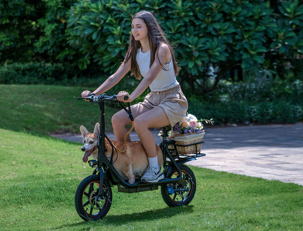 DYU C4 Elektroroller mit Sitz 14" Reifen 250W Motor 36V 10Ah Batterie