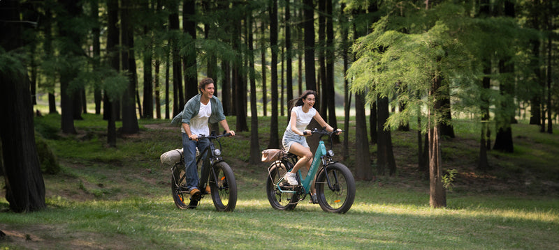 engwe-e26-ebike-des_13