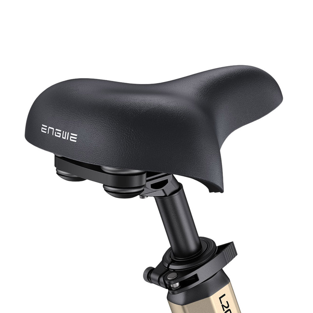 Bicicleta eléctrica ENGWE L20 3.0 Pro, neumáticos de 20", motor central de 250 W, batería de 48 V y 15 Ah