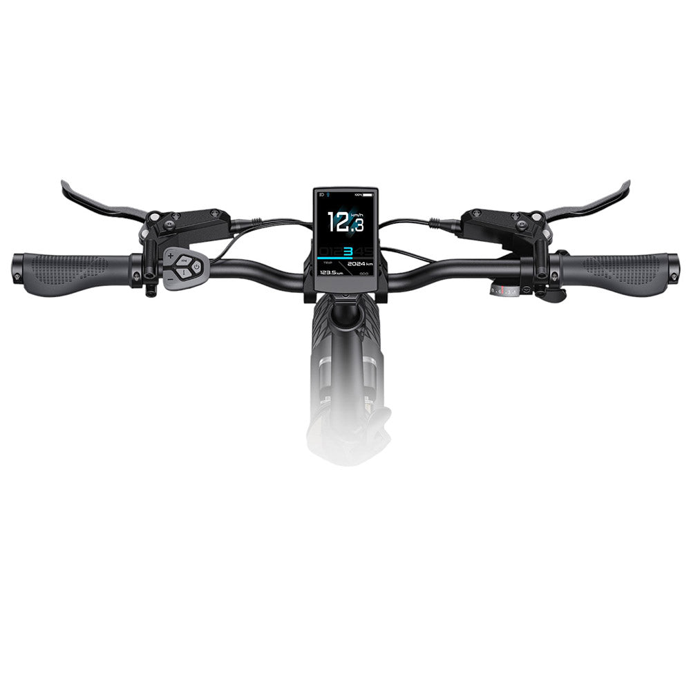 Bicicleta eléctrica ENGWE L20 3.0 Pro, neumáticos de 20", motor central de 250 W, batería de 48 V y 15 Ah