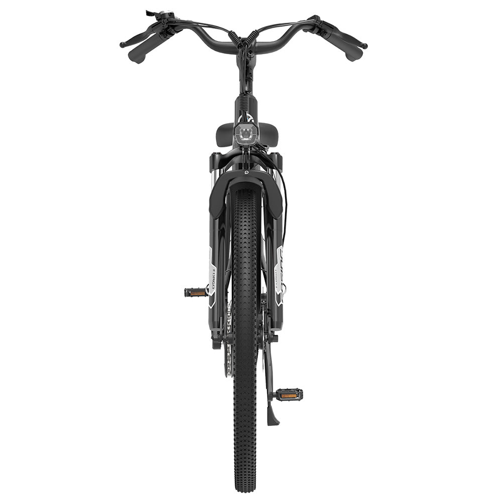 ESKUTE ES-26-LJ Electric Bike 26" Tires 250W Motor 36V 20Ah Battery