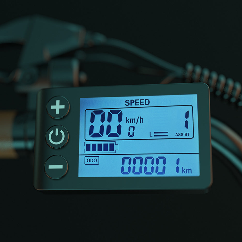 Bicicleta eléctrica ESKUTE C100, neumáticos de 26", motor de 250 W, batería de 36 V y 10,4 Ah